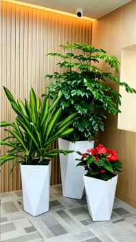 杭州湾绿化养护项目-镇海花木租摆展销会-余姚绿色植物租赁价格-奉化花木租摆需求量